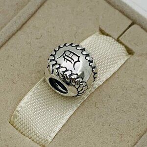 ✨✨Pandora Detroit Tigers Baseball Charm